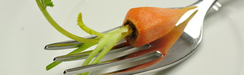 Ein Bild auf dem eine Karotte auf einer Gabel liegt die Gabel liegt auf dem Tisch